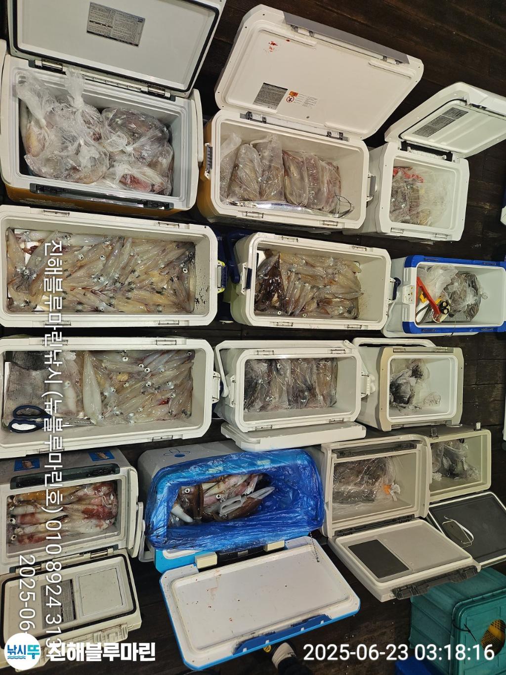 F27065360R.jpg