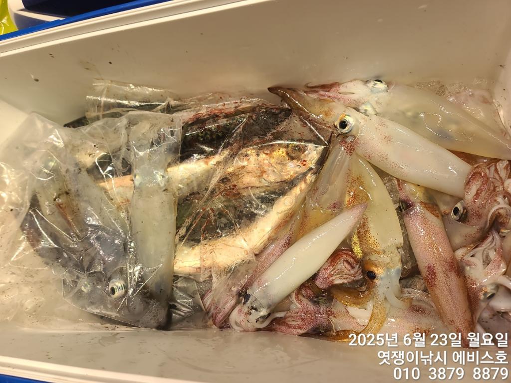 F2706560GU.jpg