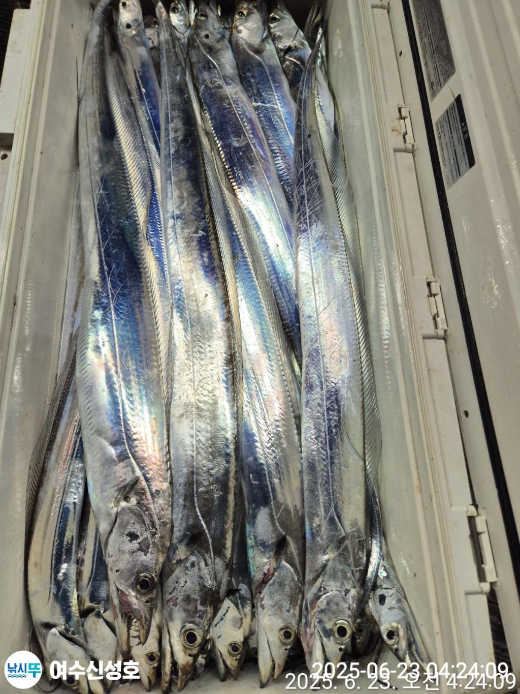 F2706660U7.jpg