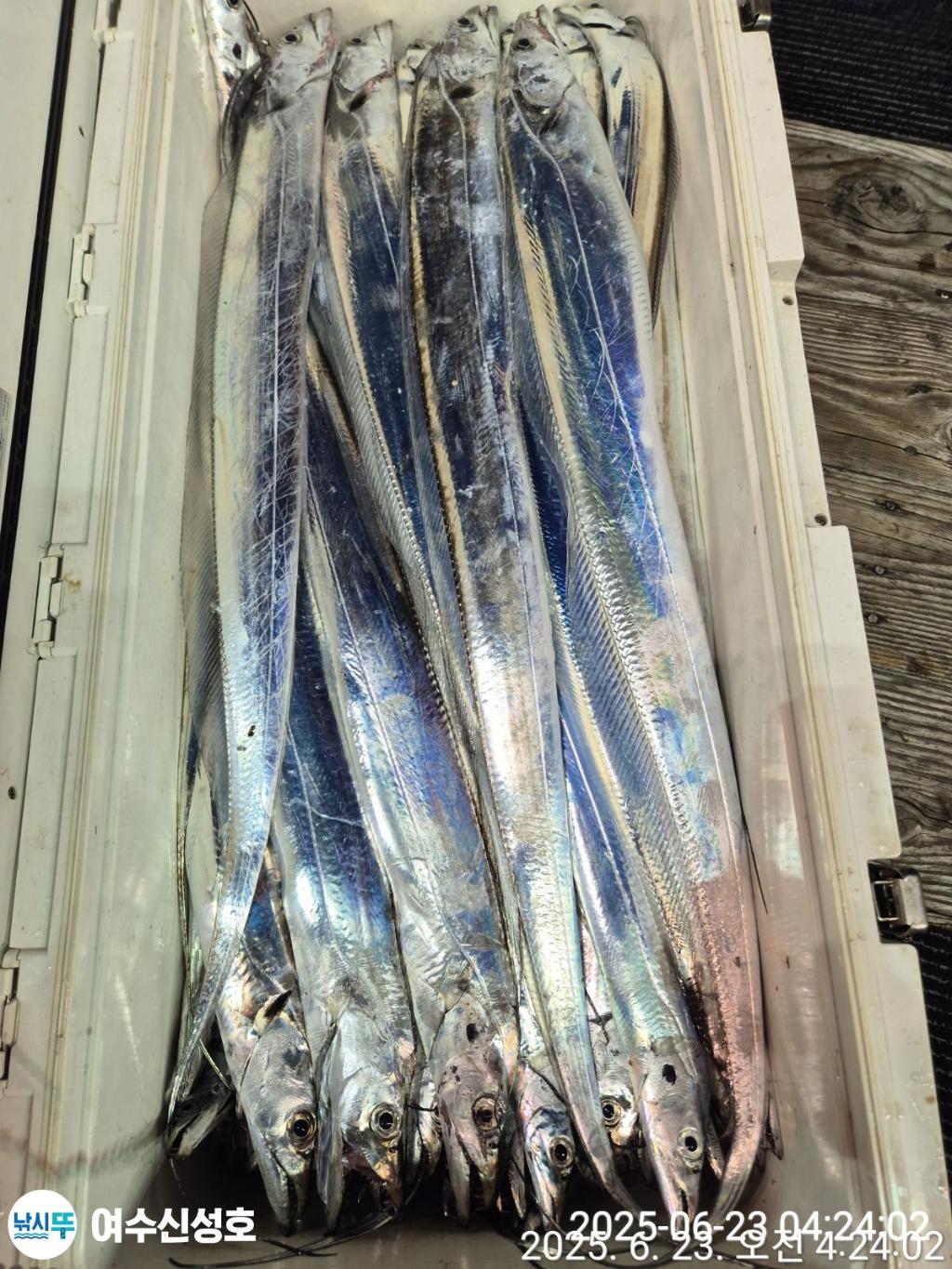 F2706661H9.jpg