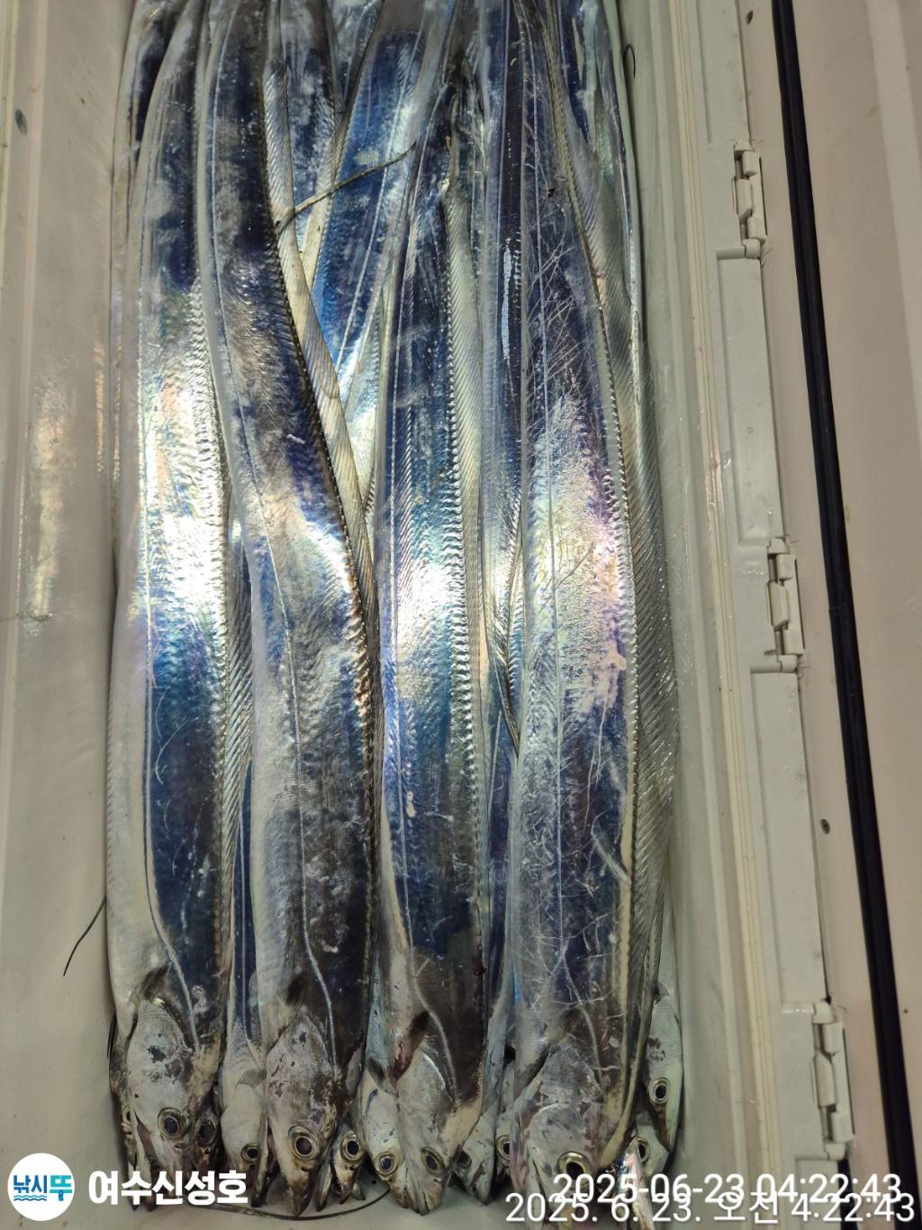 F270666241.jpg
