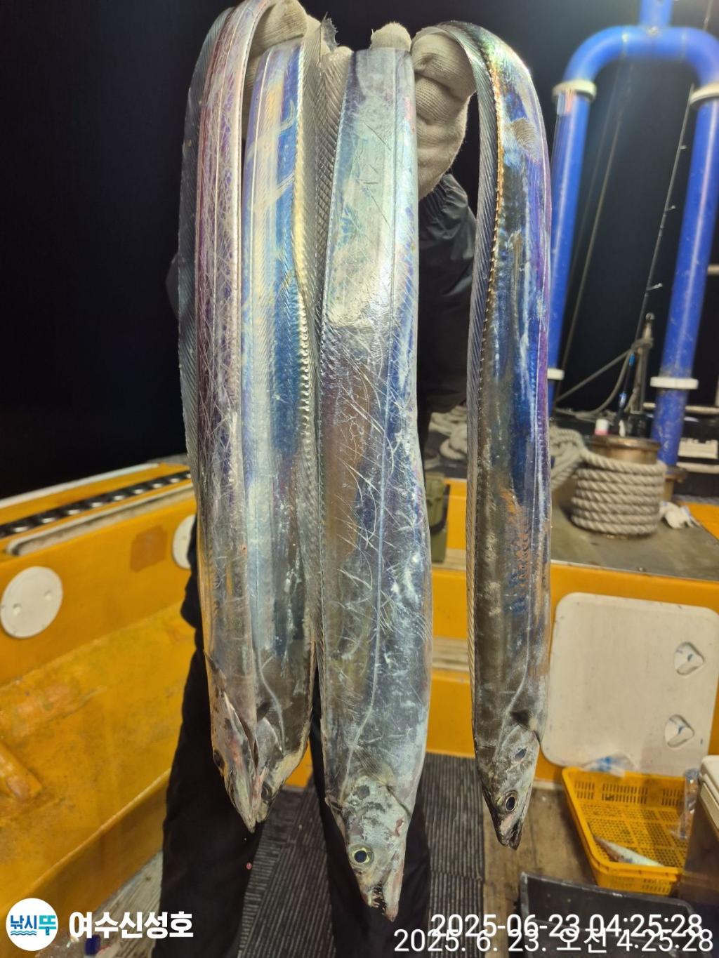 F270667066.jpg