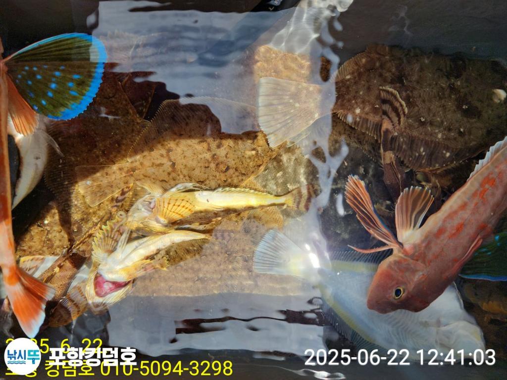 F2706716WC.jpg