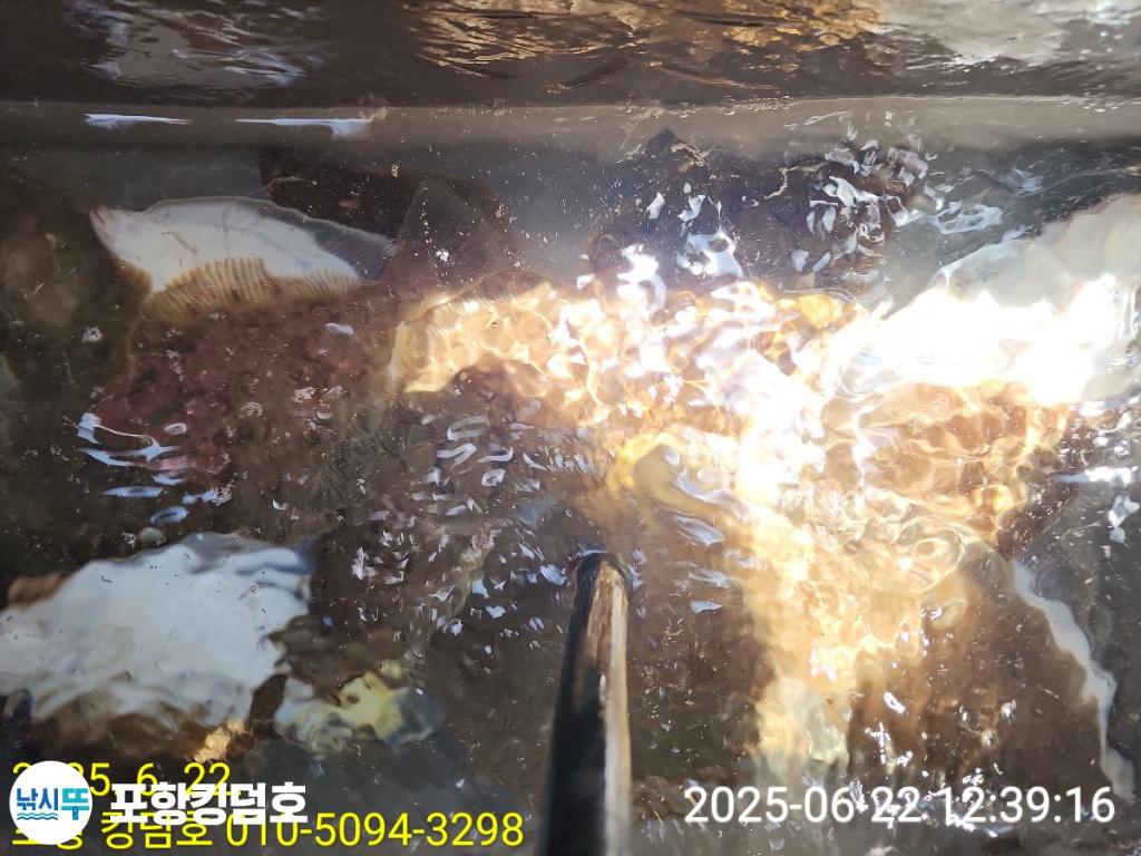 F2706725BY.jpg