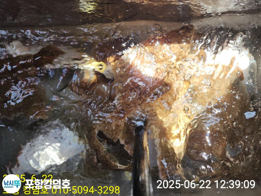 F2706727WF.jpg
