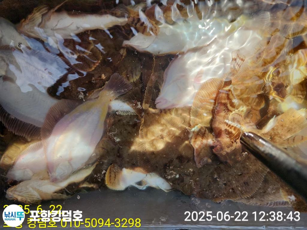 F2706729BE.jpg