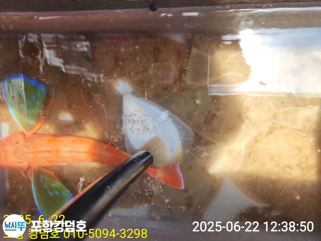 F2706730IS.jpg