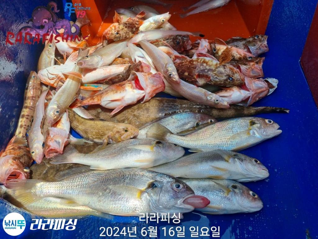 F2706989BJ.jpg