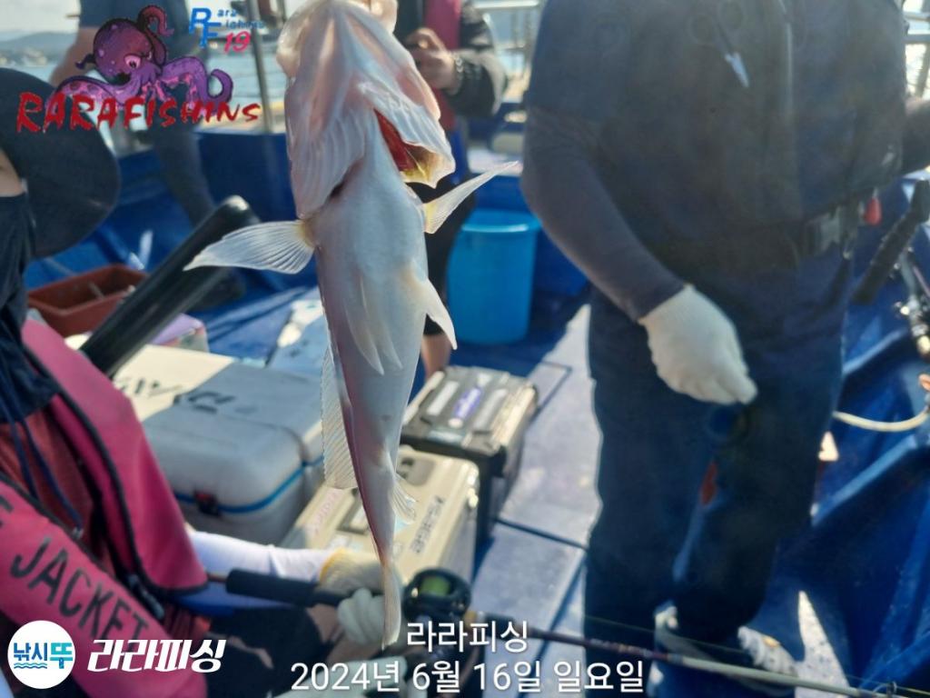 F27069927T.jpg
