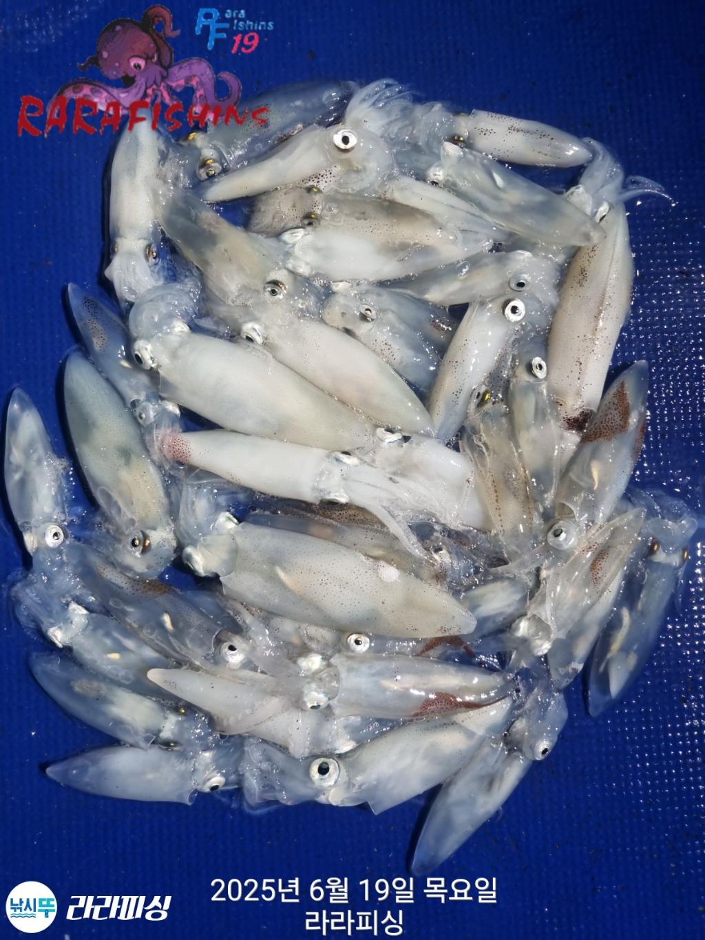 F2707019CH.jpg