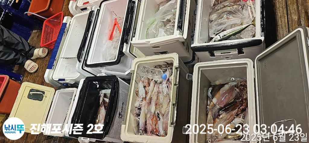 낚시뚜,오징어,한치,진해행암항,진해포시즌 2호,낚시뚜3