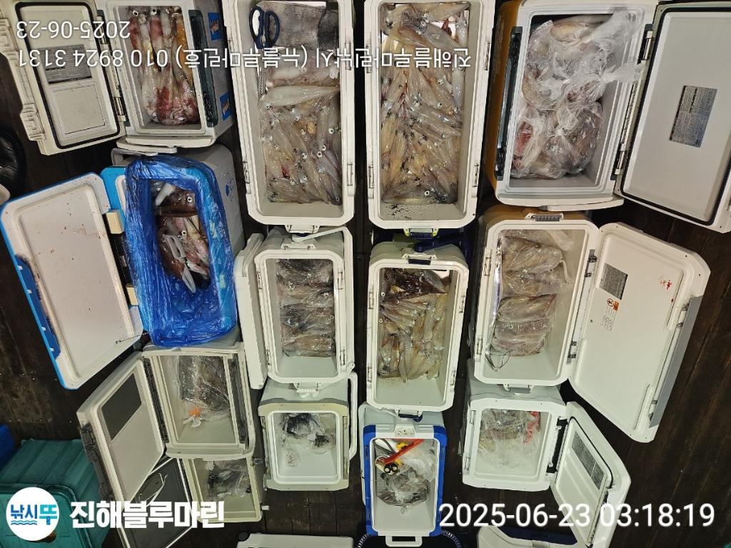 F2707219KK.jpg