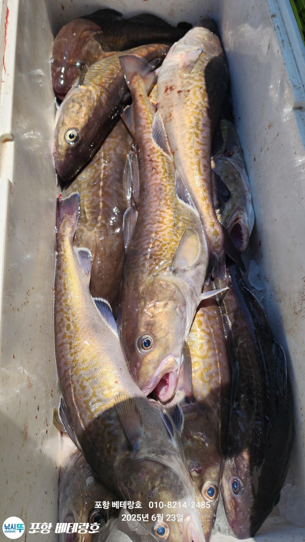 F270722734.jpg