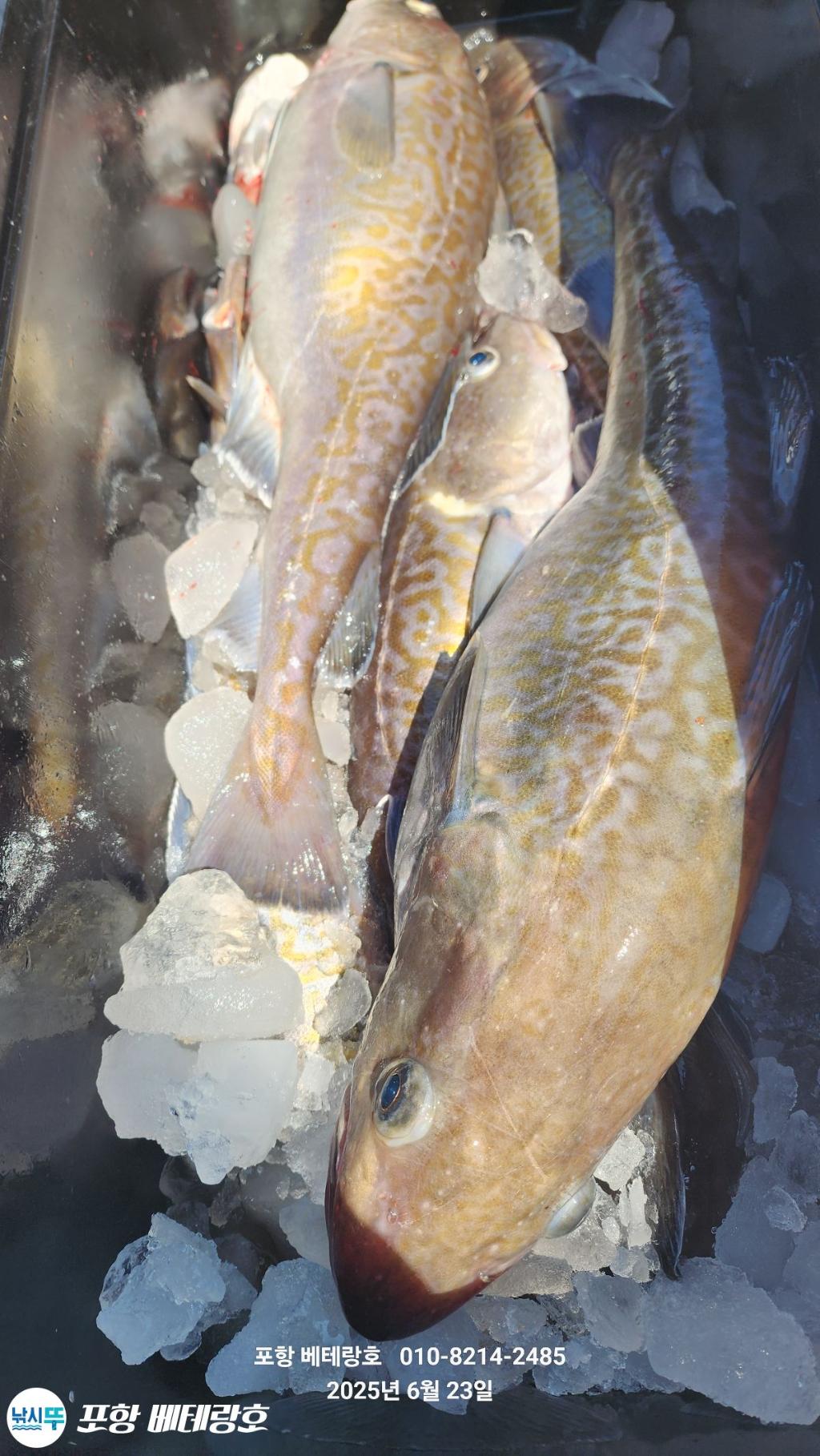 F2707229S3.jpg