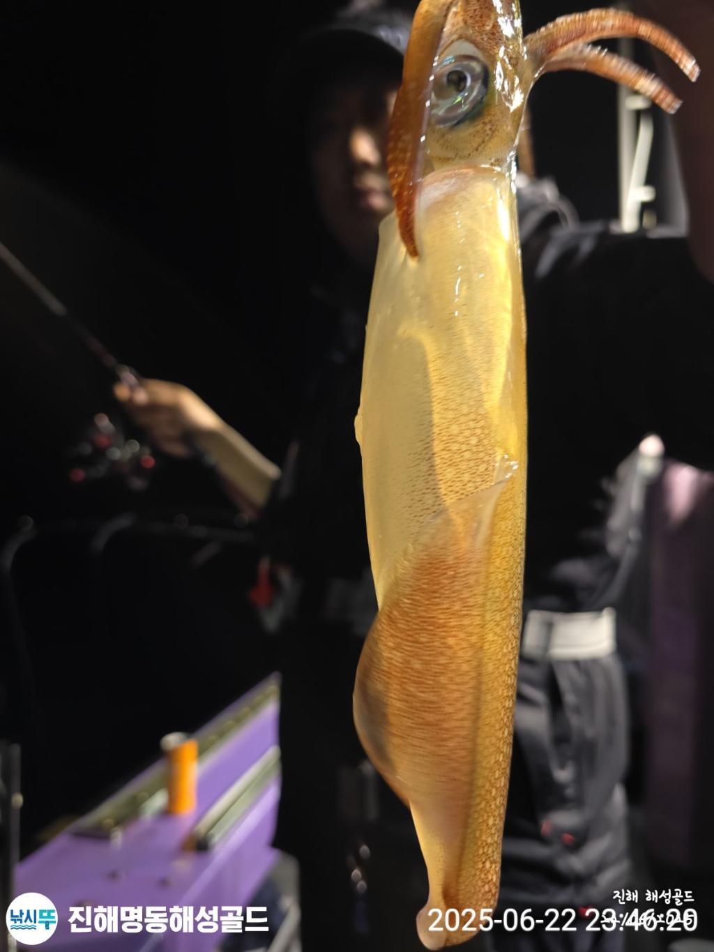 F27073525A.jpg