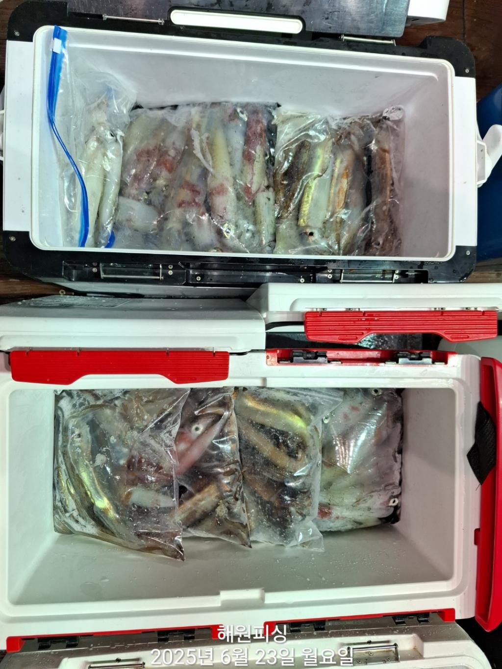 F2706608IO.jpg