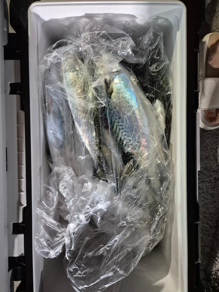 F27070811N.jpg