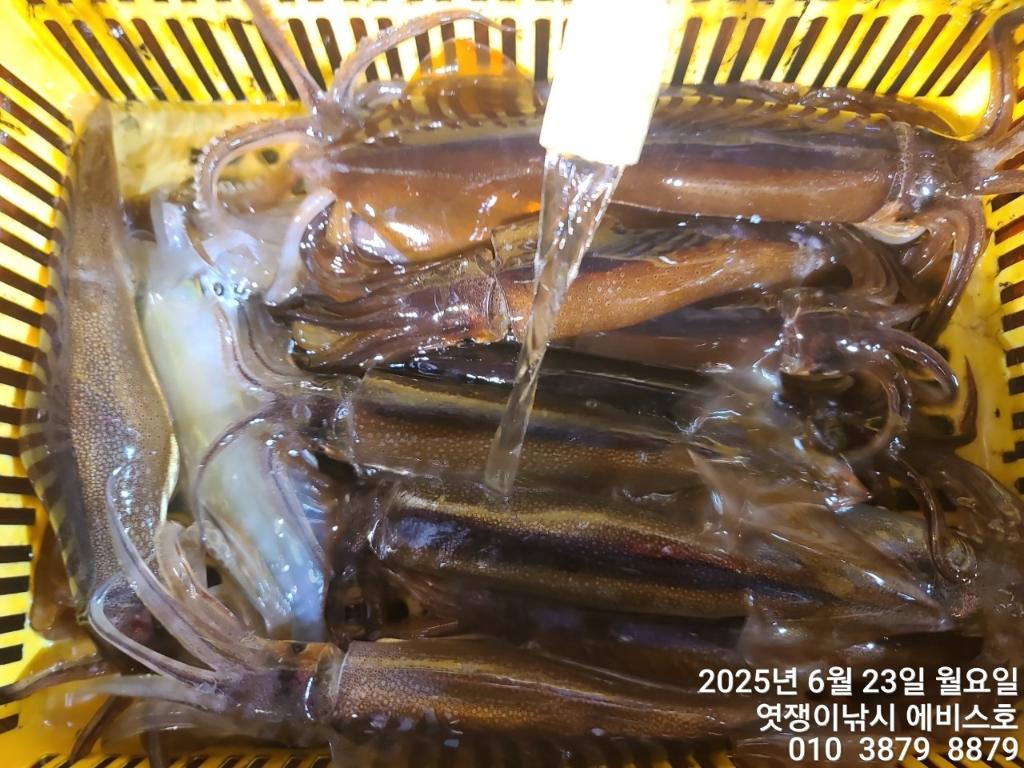 F2707627KO.jpg