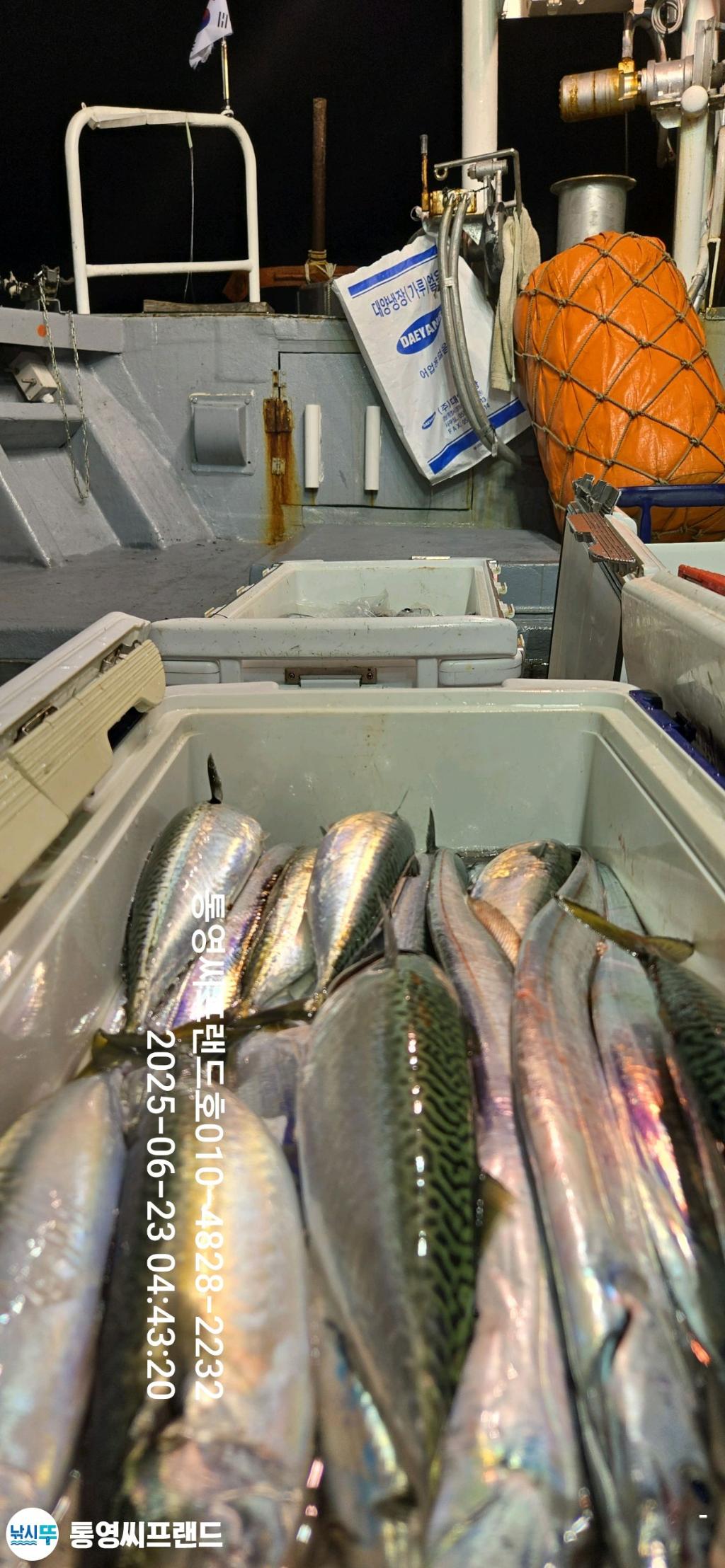 F2707742ZL.jpg