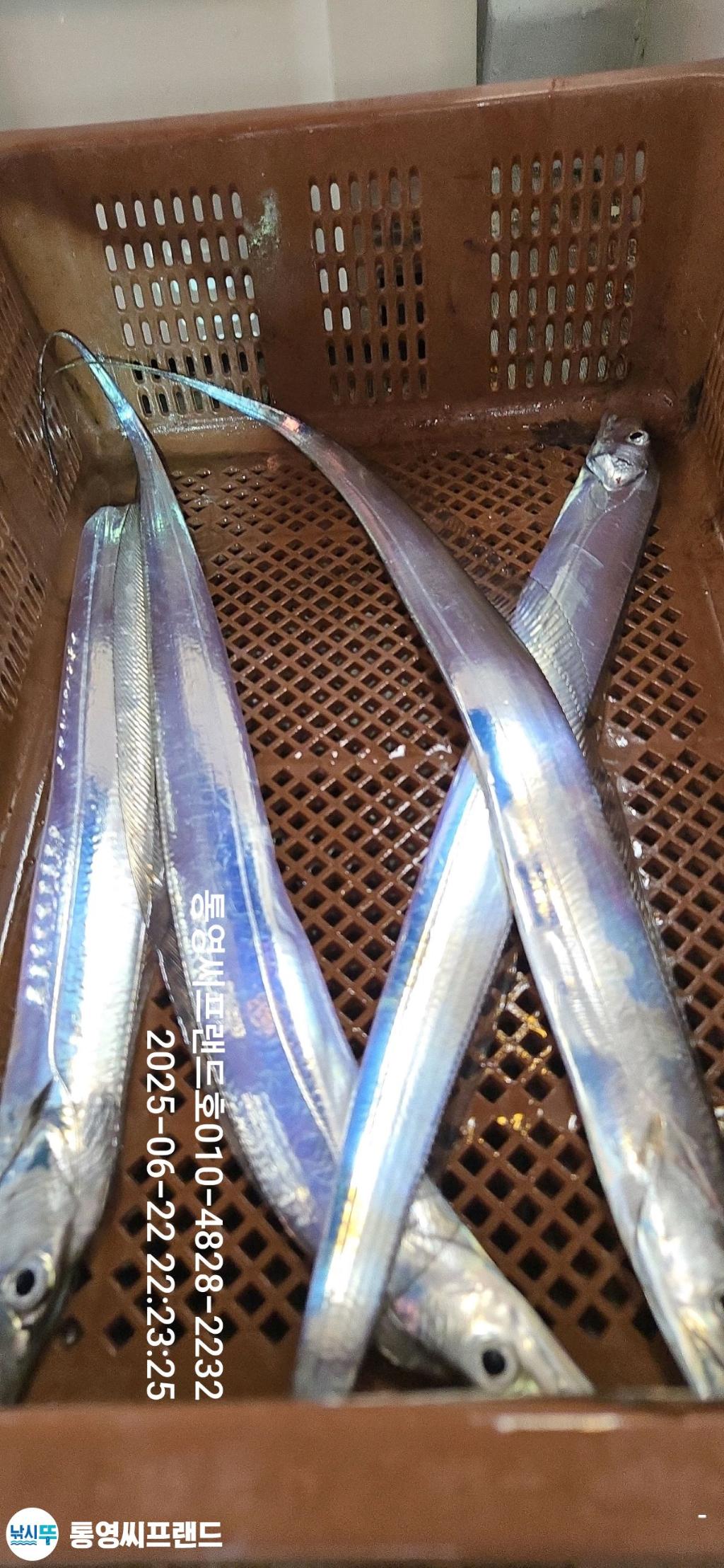F27077495Y.jpg
