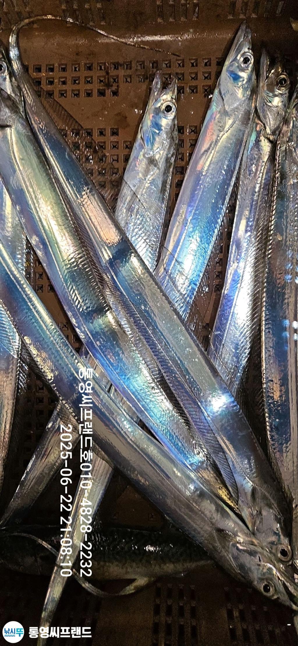 F2707751W5.jpg