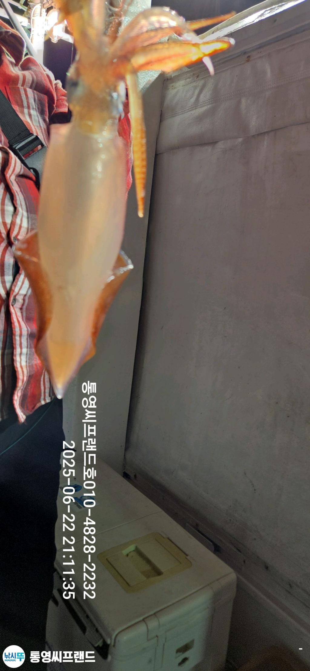 F2707760KS.jpg