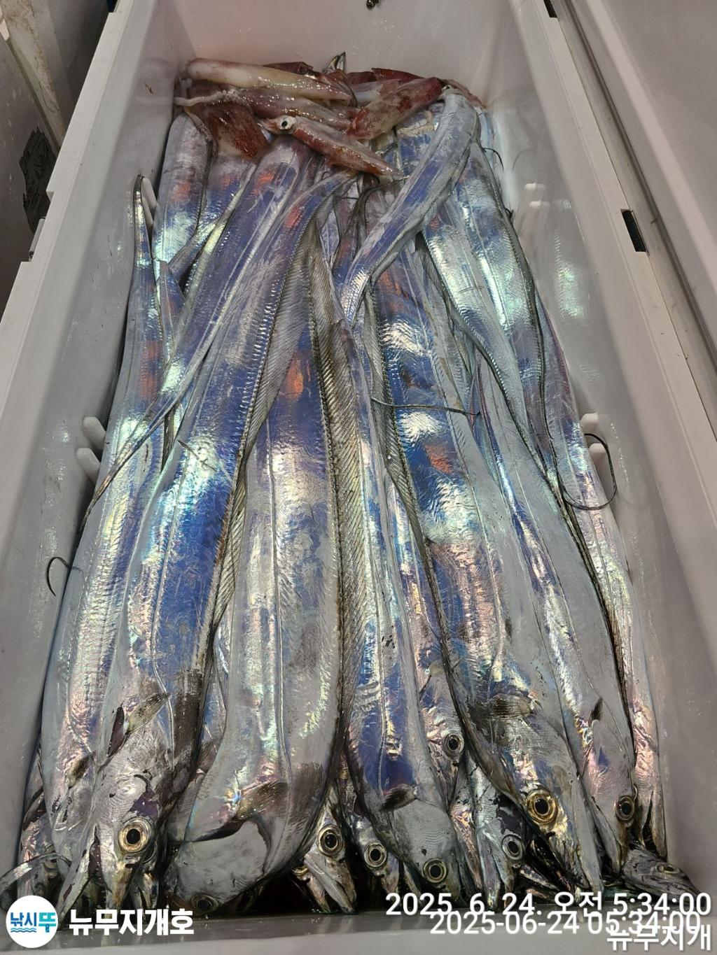 F2707891RQ.jpg