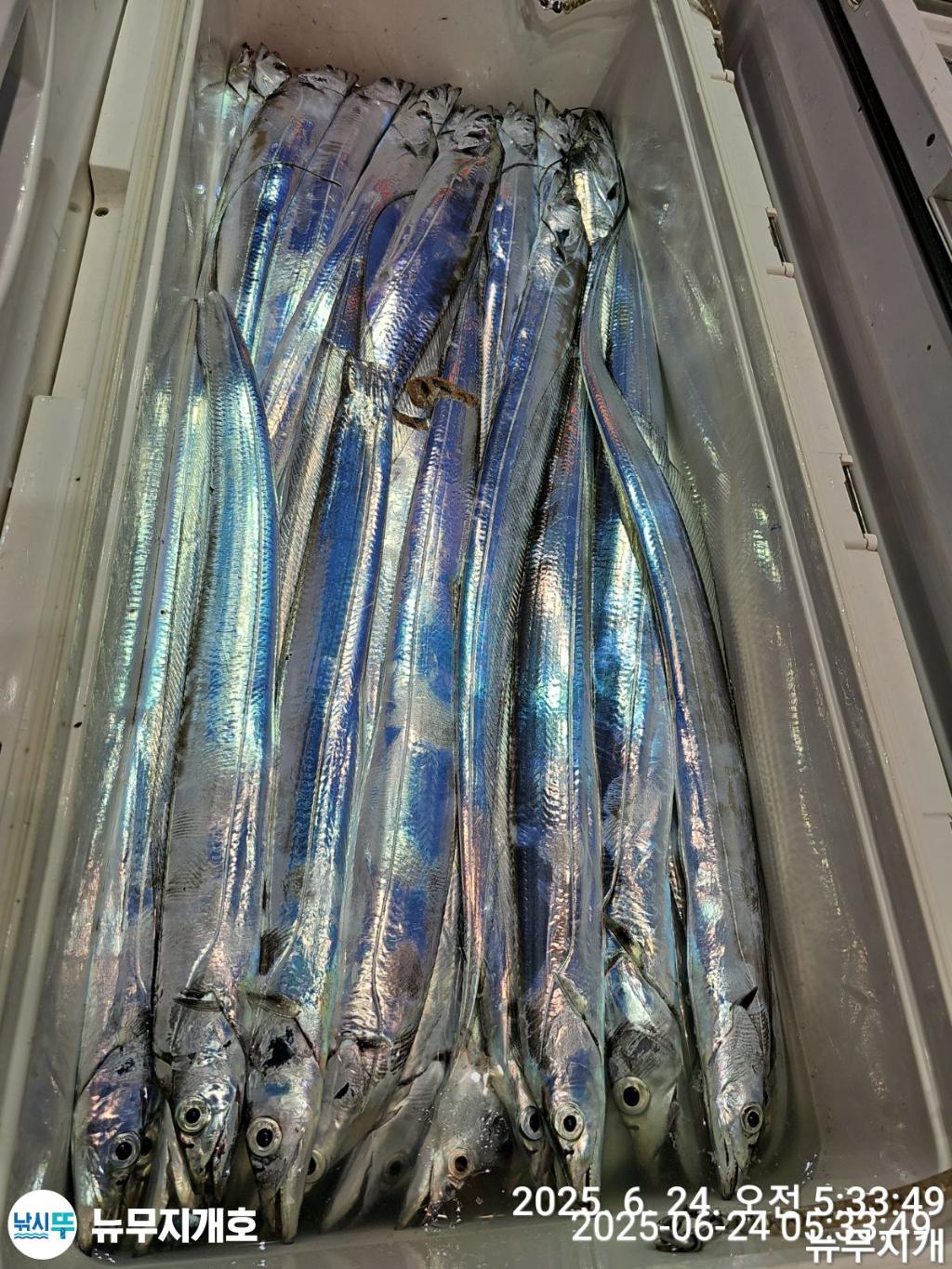 F27078930J.jpg