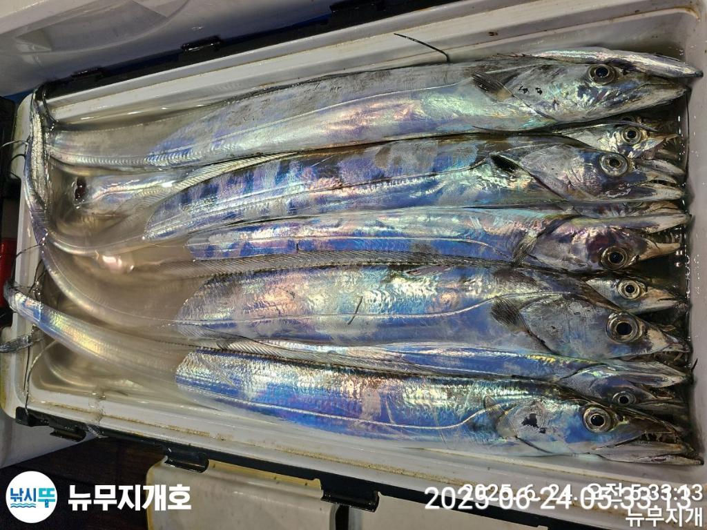 F2707896YE.jpg