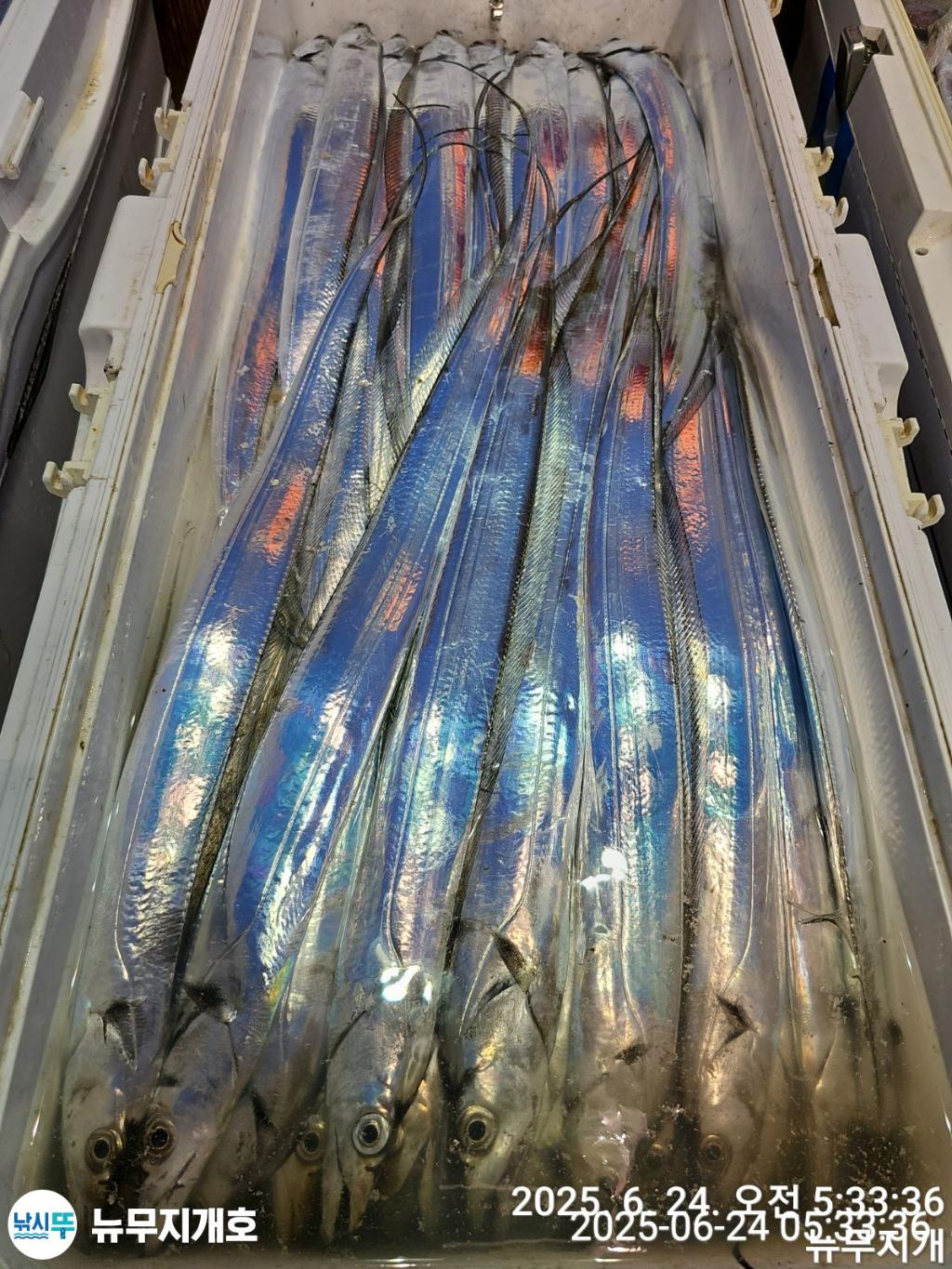 F27078995O.jpg