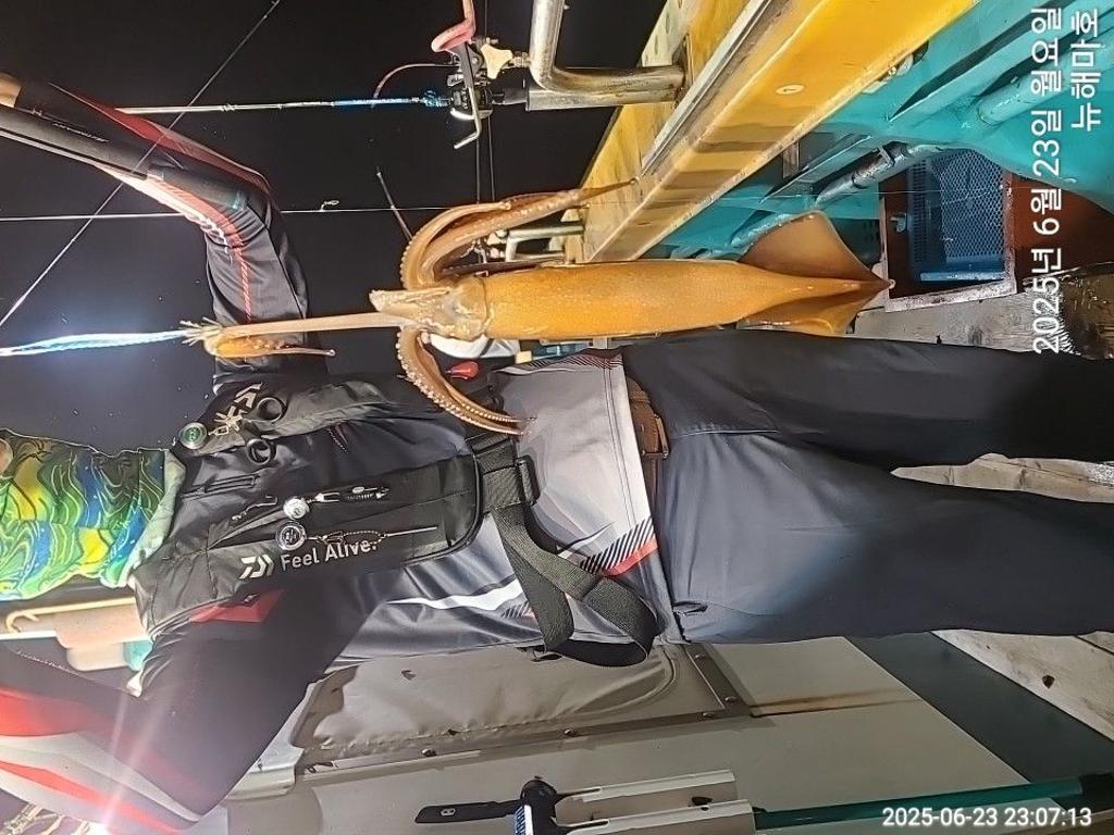F27079750Y.jpg