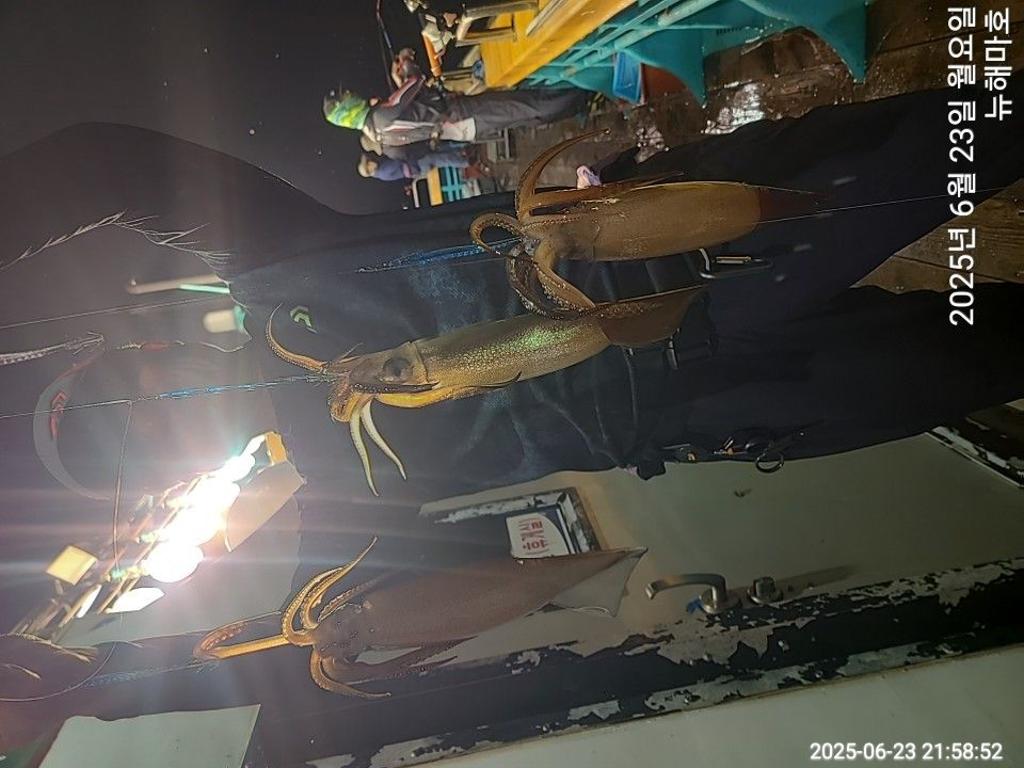 F27079805Q.jpg