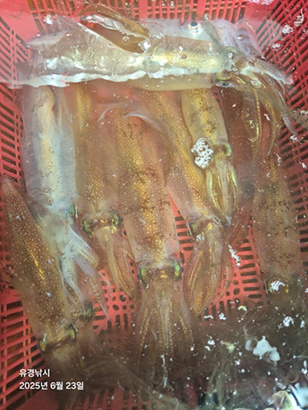 F2708046YT.jpg