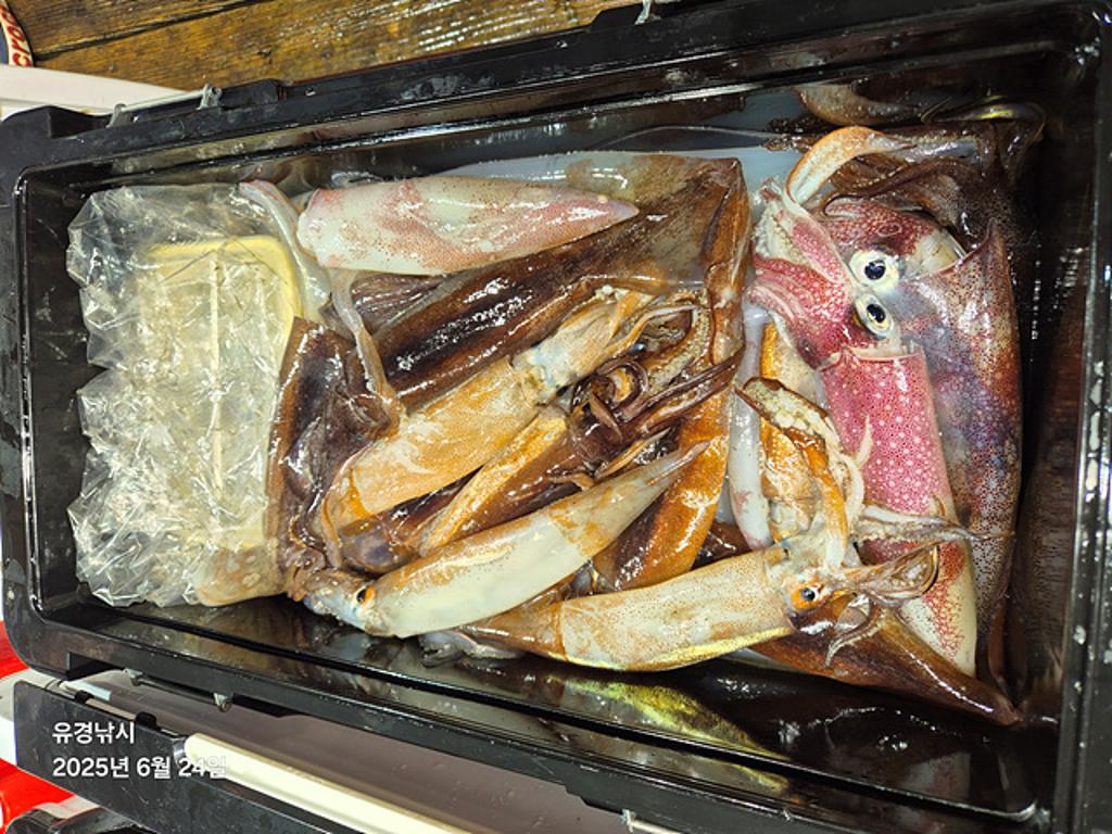 F2708047YW.jpg