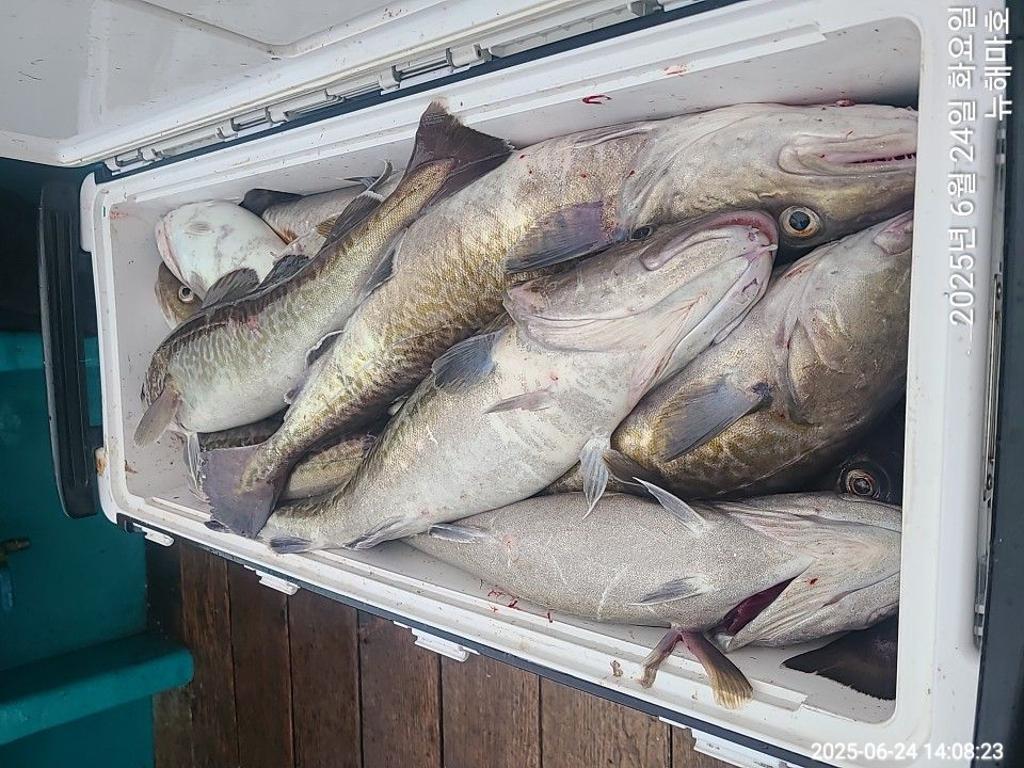 F2708126UF.jpg