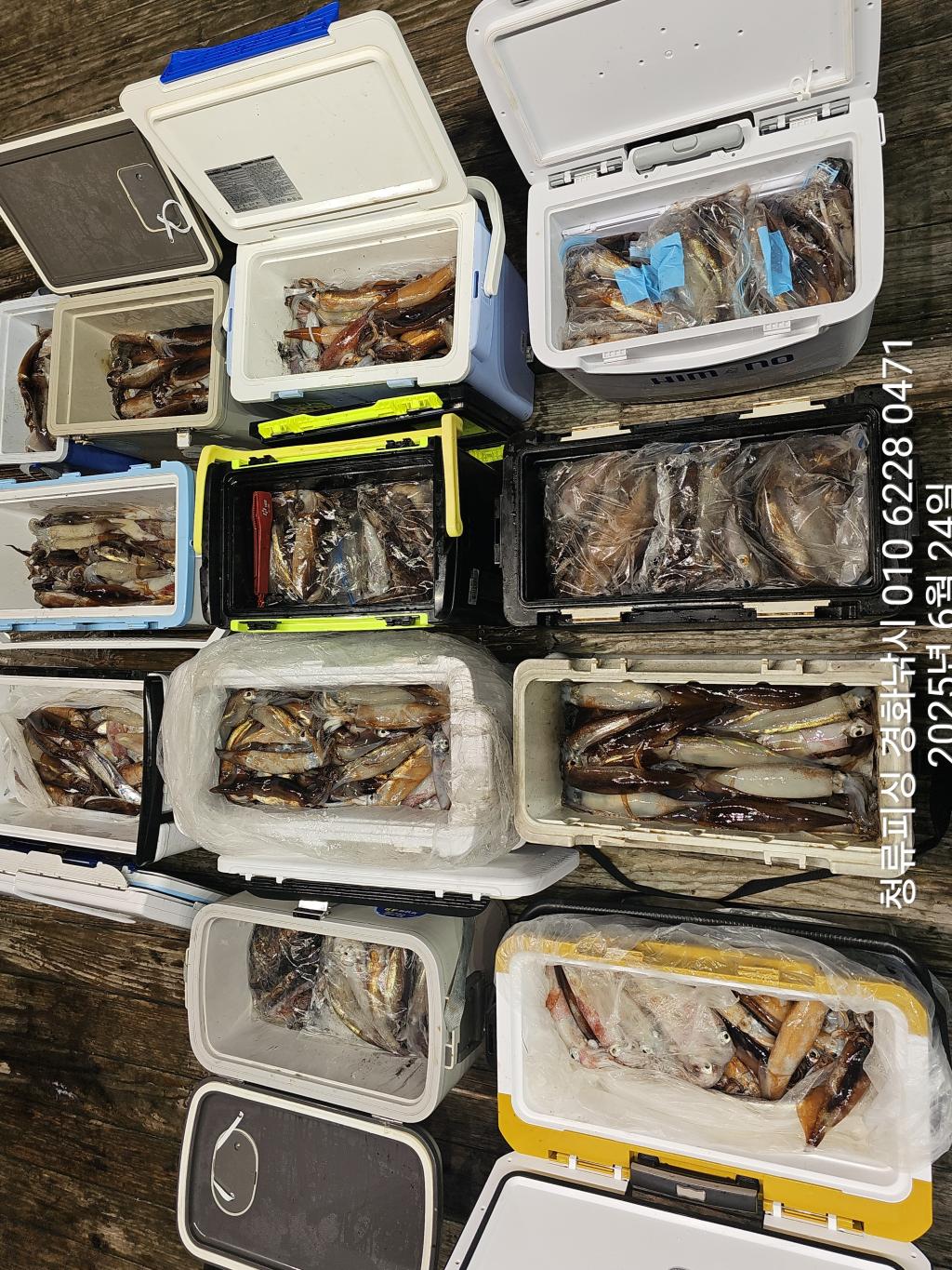 F2708163S0.jpg