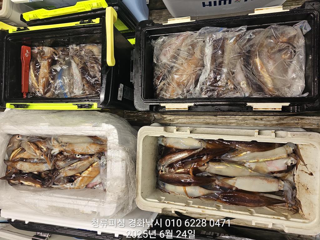 F270816710.jpg