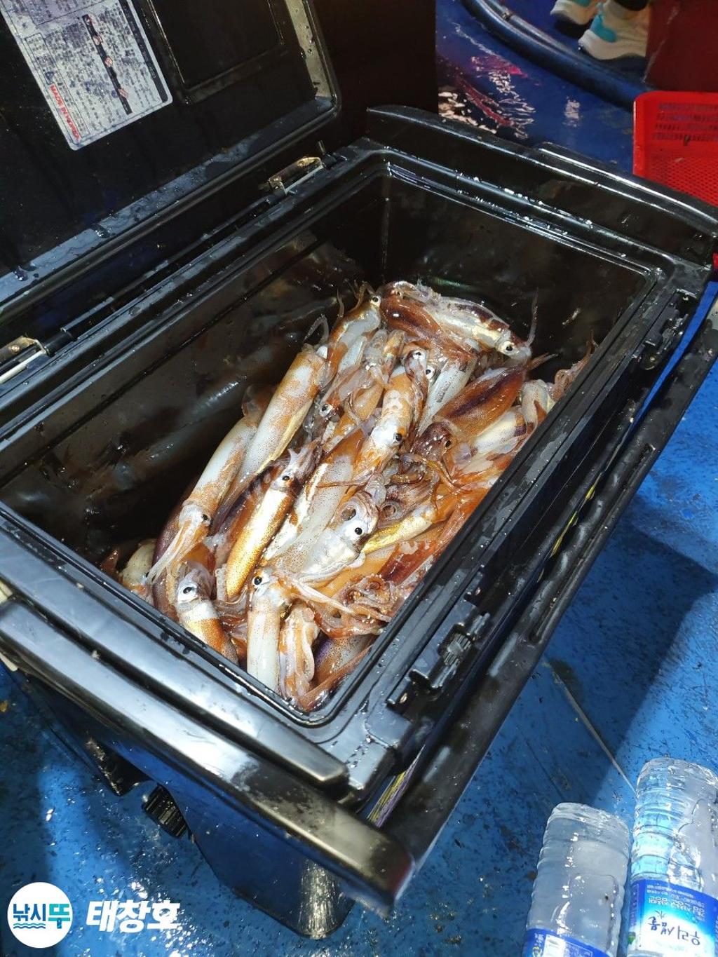 F27082795M.jpg