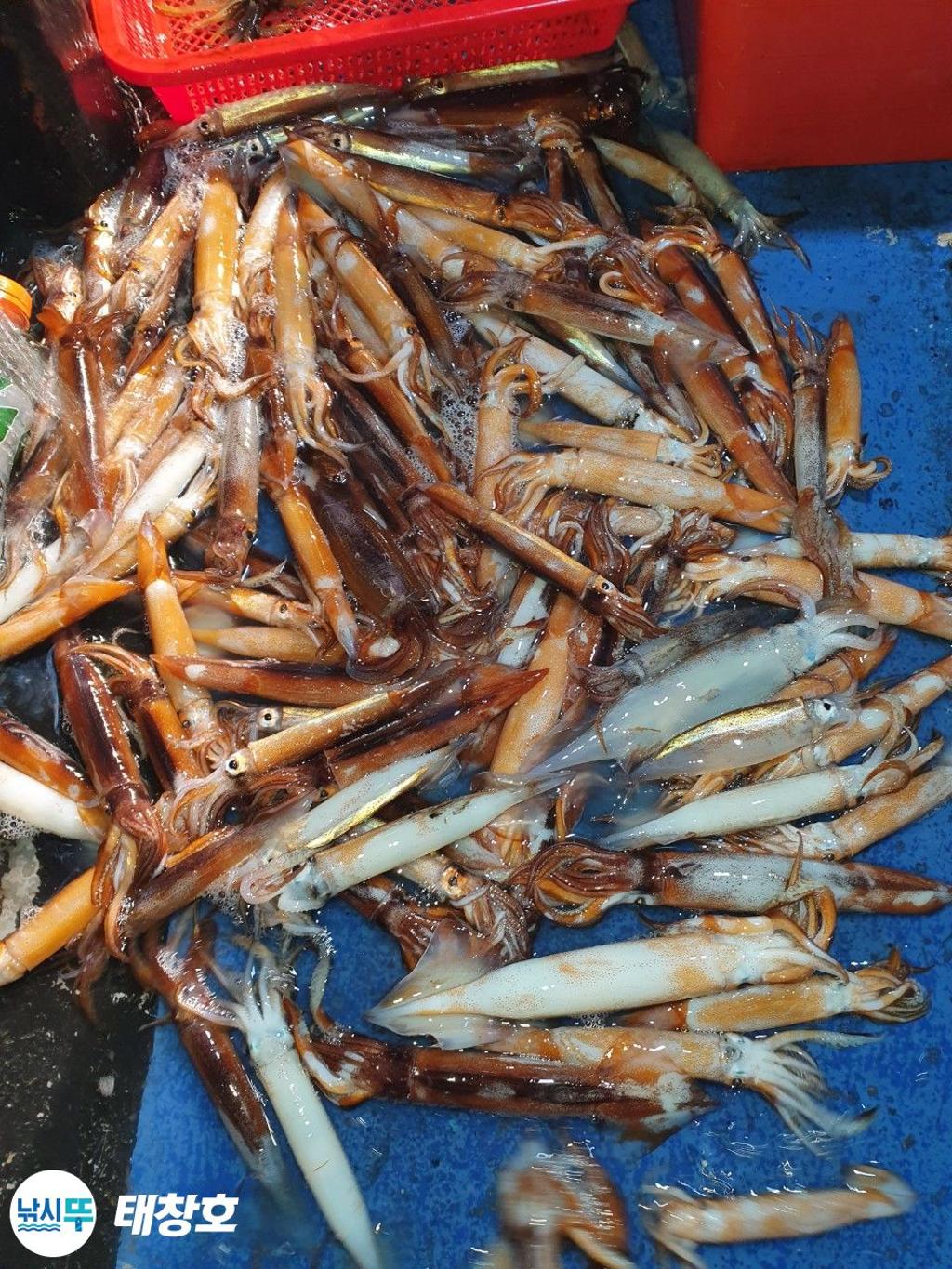 F270828250.jpg