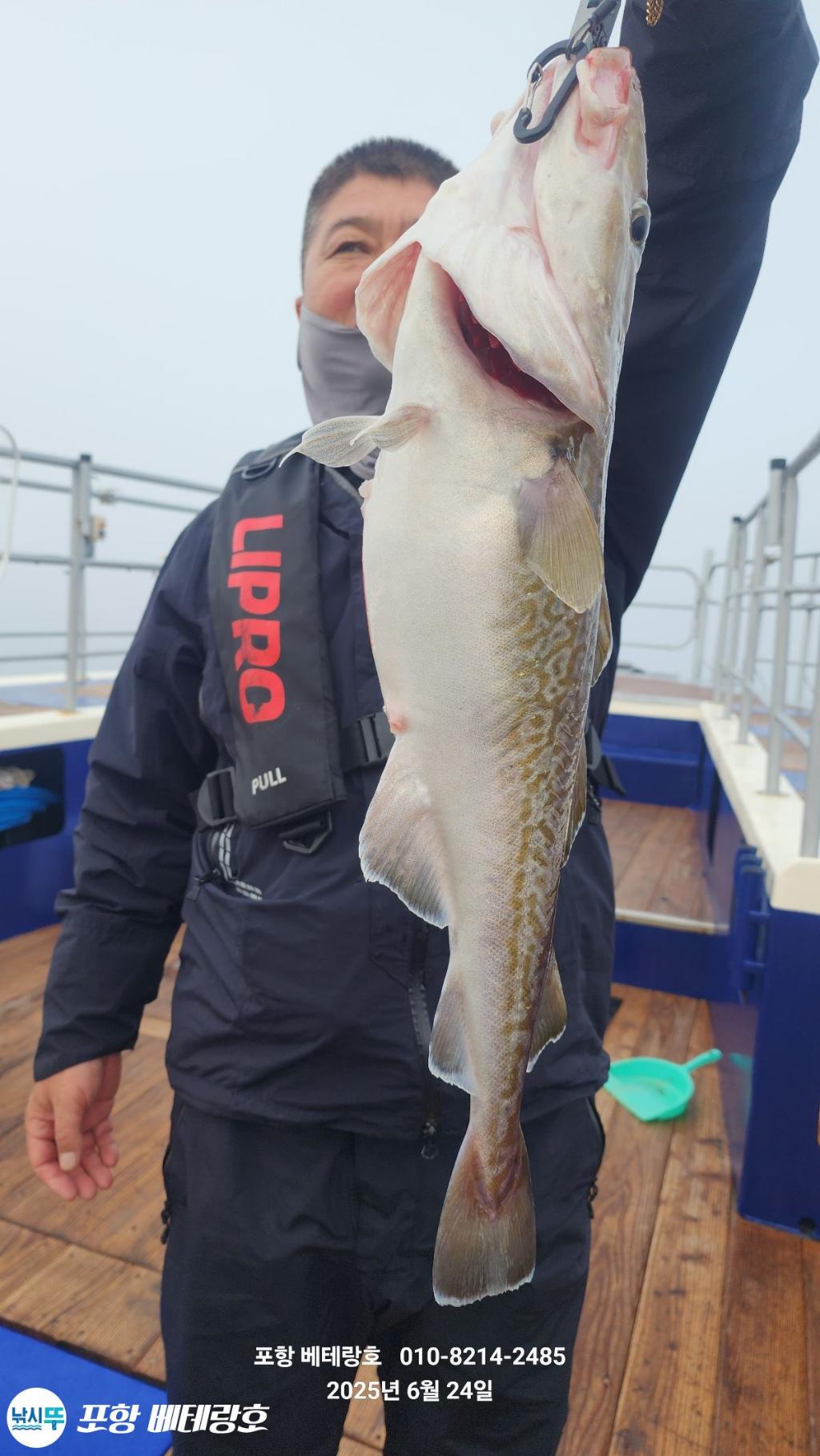 F2708337TT.jpg