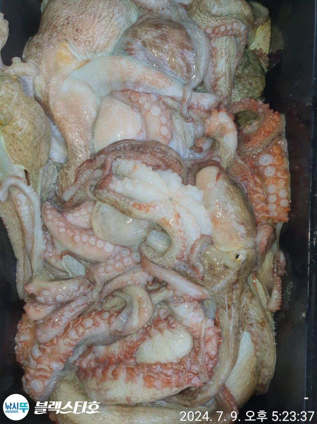 F2708357TC.jpg