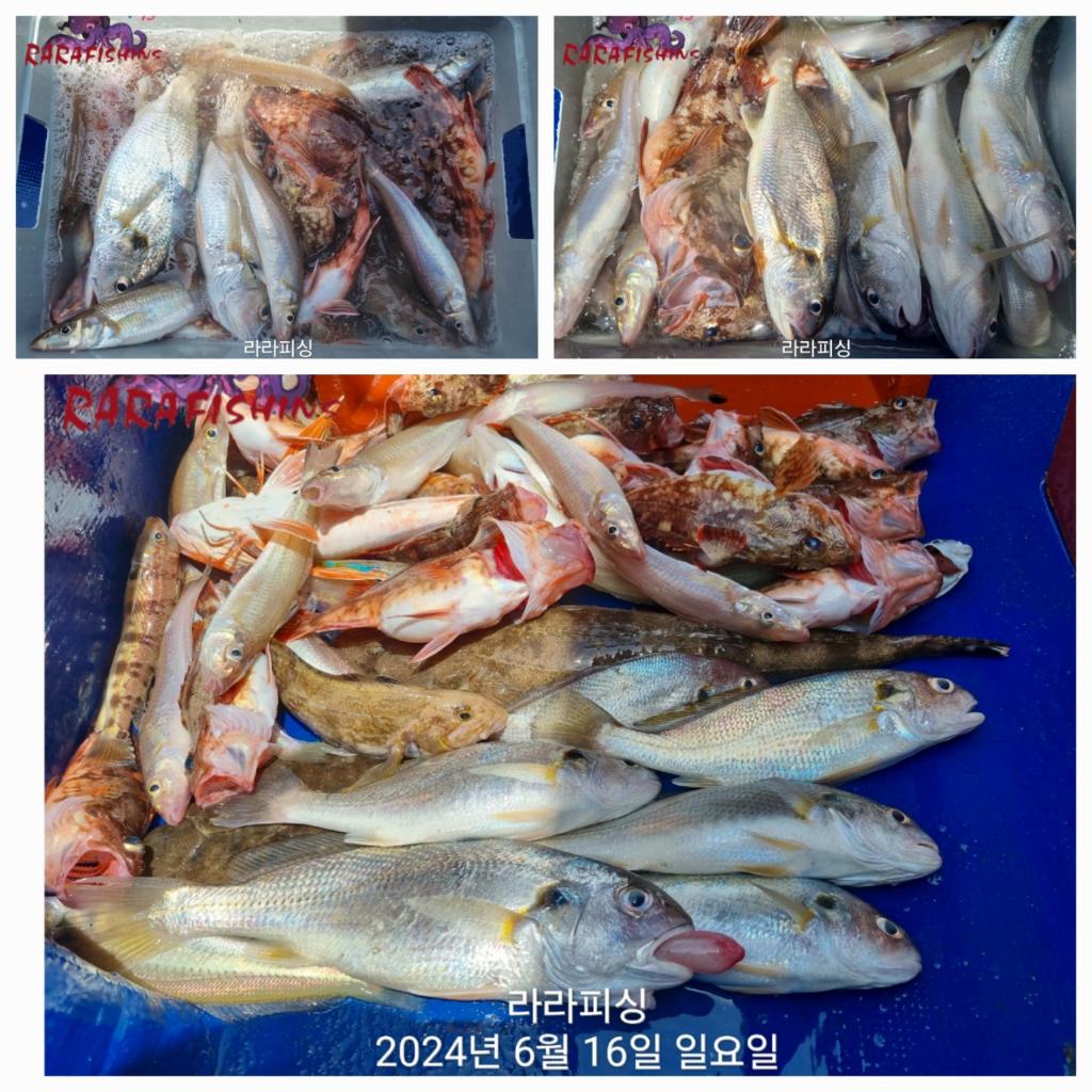 F2708437ZO.jpg