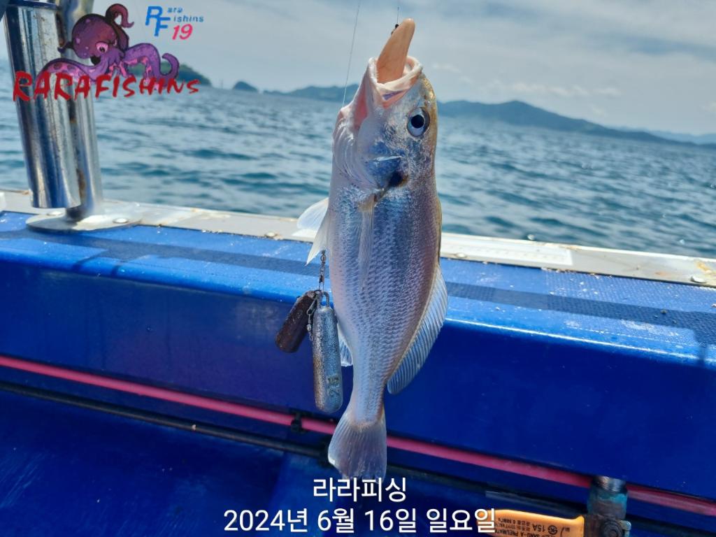 F2708448S0.jpg