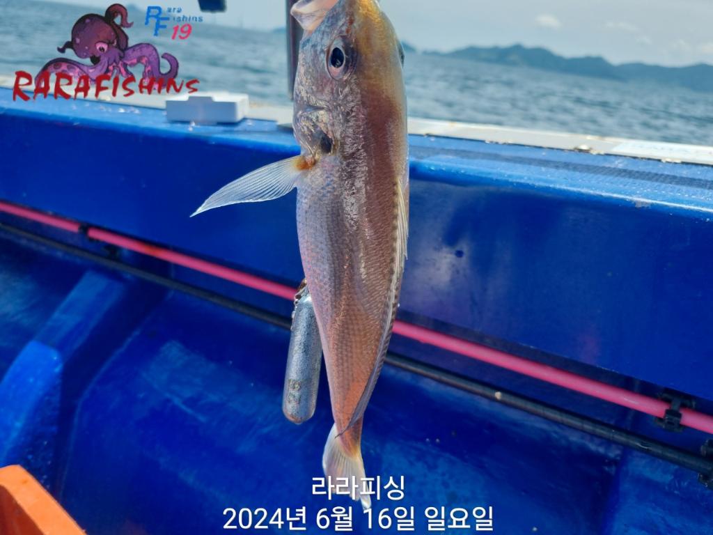F27084491S.jpg