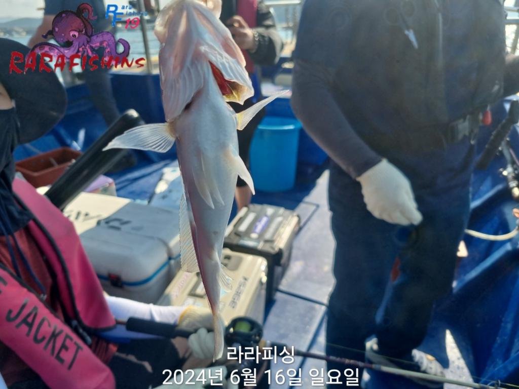 F2708451SX.jpg