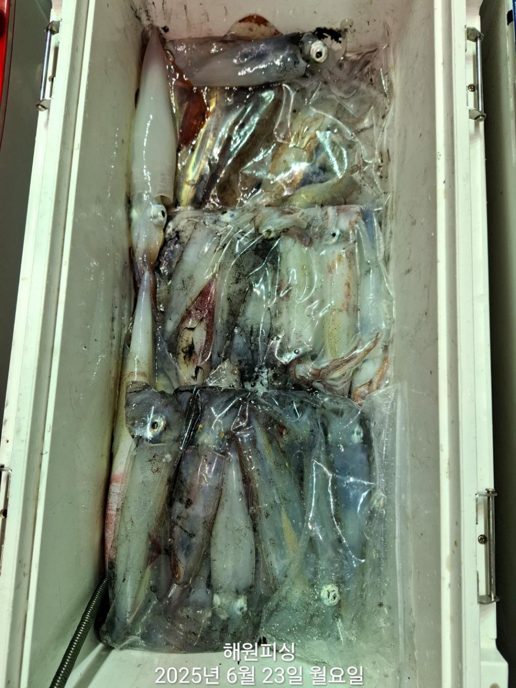 F2706605HN.jpg