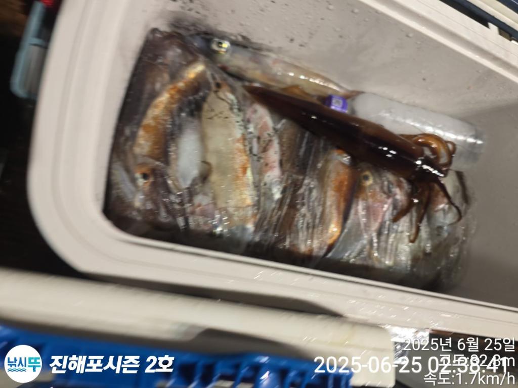 낚시뚜,오징어,한치,진해행암항,진해포시즌 2호,낚시뚜11