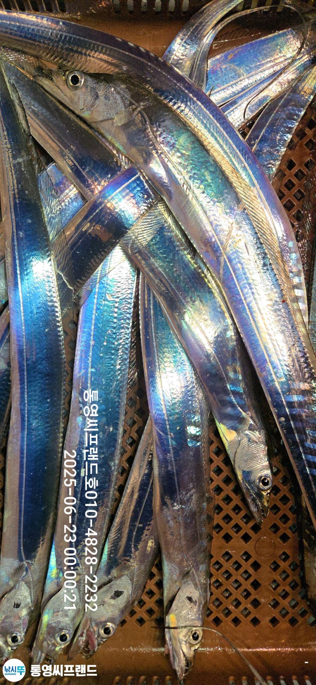 F2708545WE.jpg