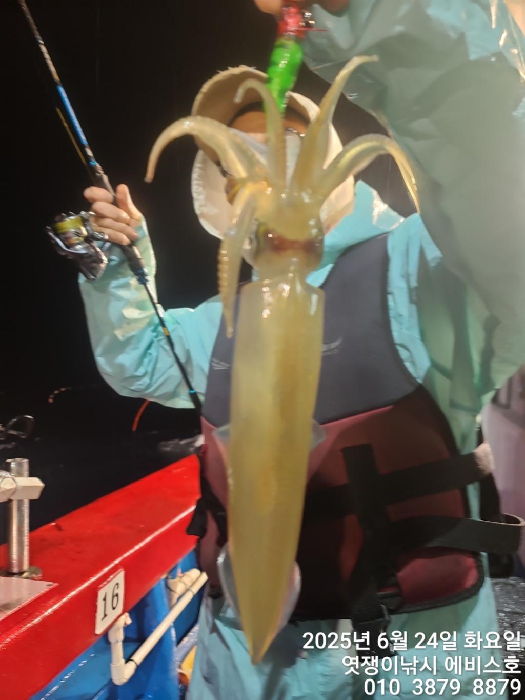 F2708582P5.jpg