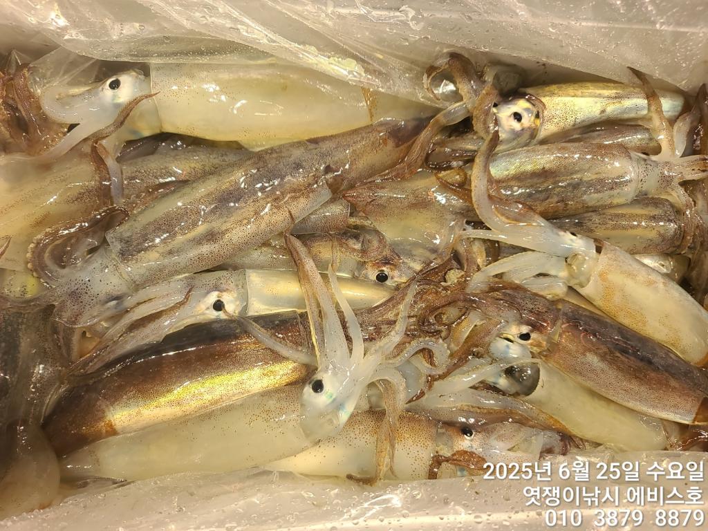 F2708591KY.jpg